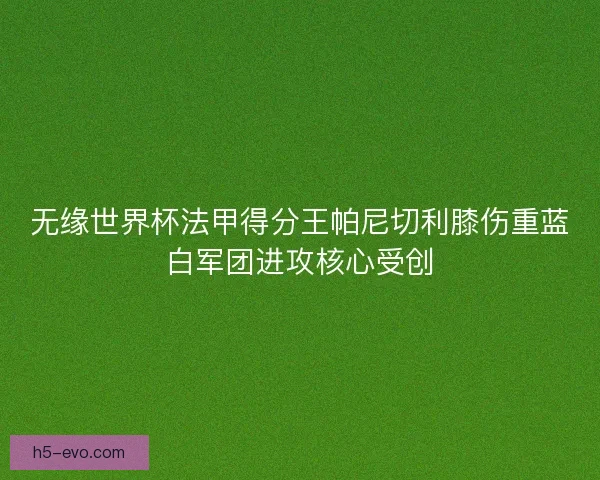无缘世界杯法甲得分王帕尼切利膝伤重蓝白军团进攻核心受创